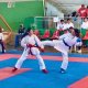 Campeonato de Karate