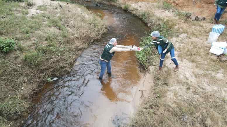 Contaminación de ríos
