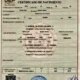 Certificado de nacimiento falso