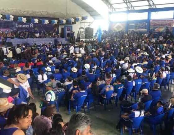 Elección candidato