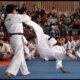 Campeonato de karate