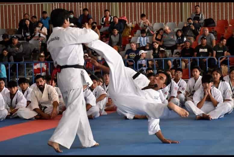 Campeonato de karate