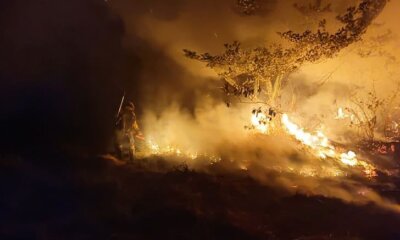 Cesan Incendios en Santa Cruz