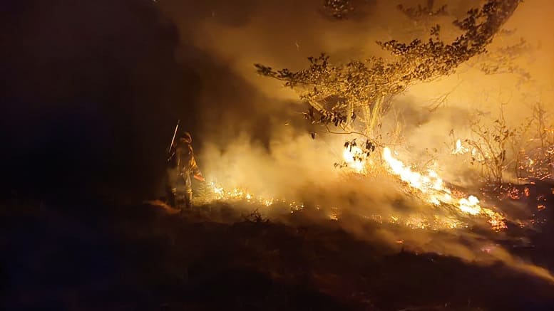 Cesan Incendios en Santa Cruz