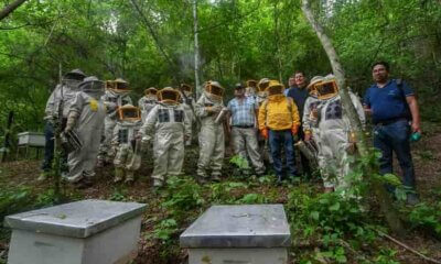 Productores apicultores