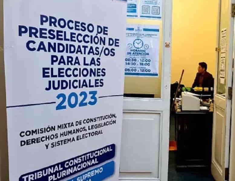 Desarrollo de las elecciones judiciales