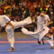 Sudamericano de Karate