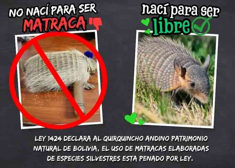 Defensa de los animales