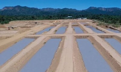 Planta Piscícola en la Amazonia