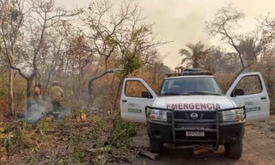 Incendios forestales