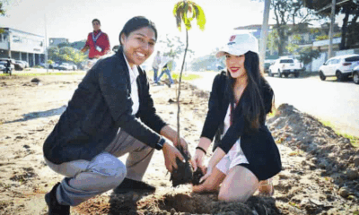 Programa exitoso de arborización