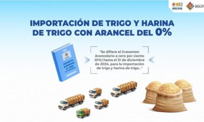 Libre importación de trigo