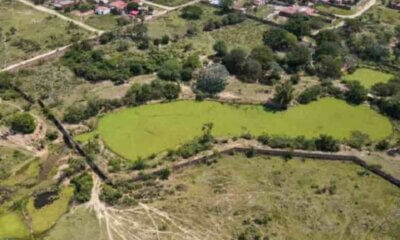 Titulación de tierras