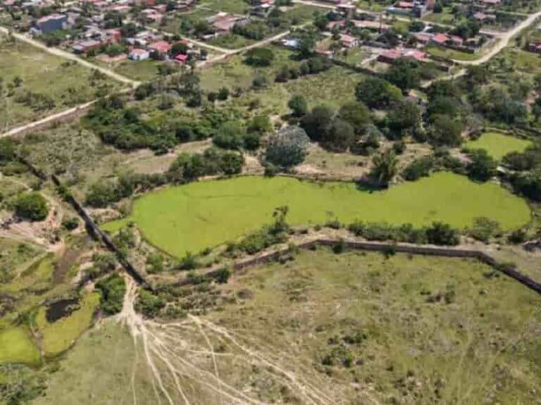 Titulación de tierras