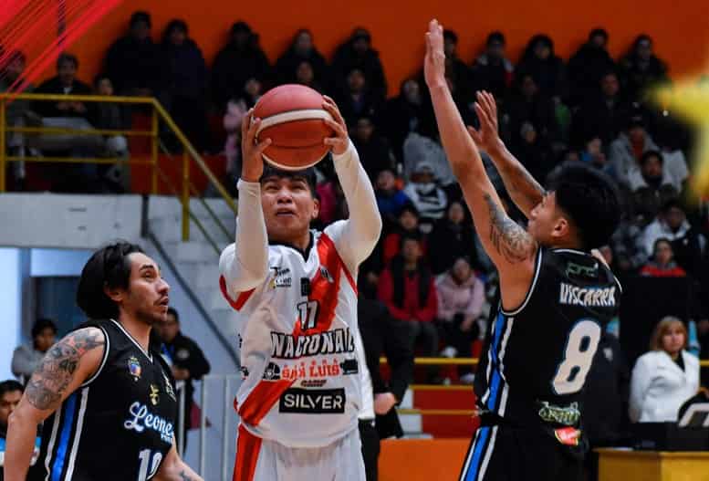 Libobasquet