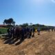 Agricultura