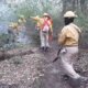 Incendios forestales