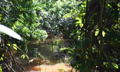 avasallamiento en arroyo Bahía