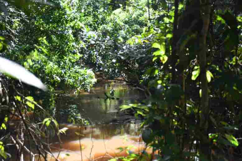 avasallamiento en arroyo Bahía
