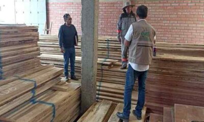 Madera decomisada