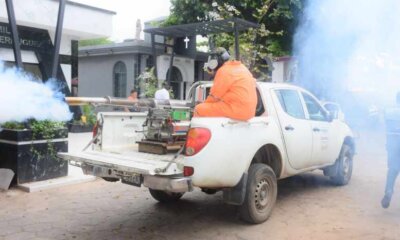 Lucha contra el dengue