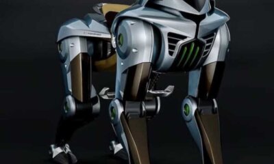 caballo robot
