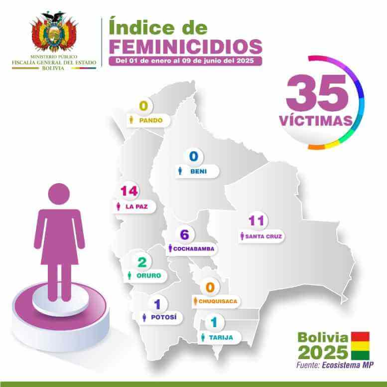 Estadistica de feminicidios