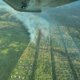 Inspección aérea de incendios