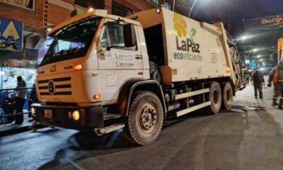Recogedor de basura
