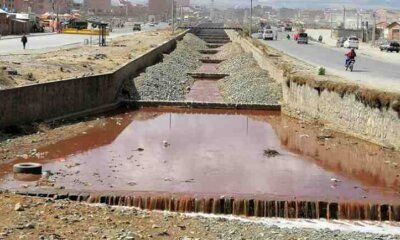 Rio contaminado de desechos animales