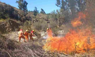 Incendios forestales