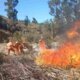 Incendios forestales