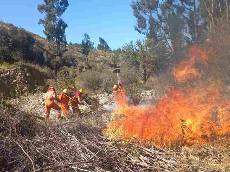 Incendios forestales