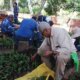 Arreglo de parques