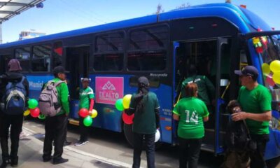 Buses alteños