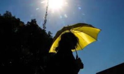Altas temperaturas