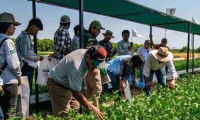 Agricultores del Norte Integrado cruceño