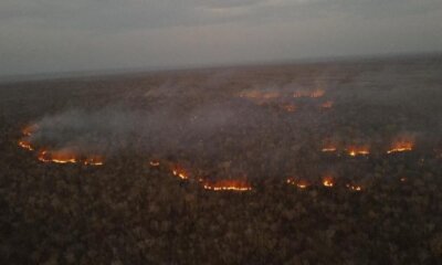 Incendios forestales