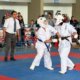 Nacional de Karate