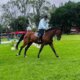 Campeonato Nacional Ecuestre