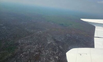 incendios en Santa Cruz