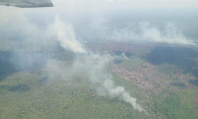 Inspección aérea de incendios
