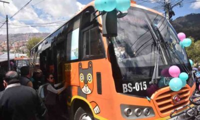 linea Pumakatari