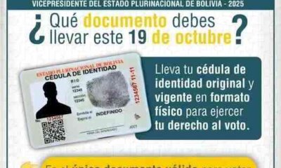 ¿Qué debo llevar para votar el domingo 19 de octubre?